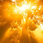 shamanicbootcamp2012-shopify_1_large_1_1024x1024